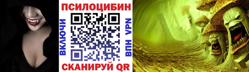 МЕГА ONION  Краснообск  Псилоцибиновые грибы Psilocybe 
